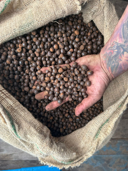 Natural Brasilian High Power Energy Boost Guarana Raw Seeds.
