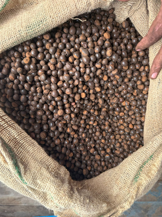 Natural Brasilian High Power Energy Boost Guarana Raw Seeds.