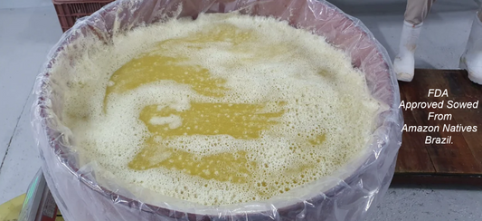 Natural Raw Pineapple Frozen Pulp, FDA Approval.