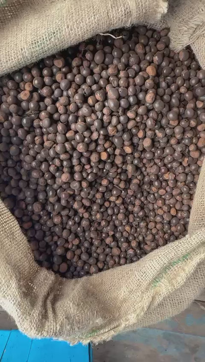 Natural Brasilian High Power Energy Boost Guarana Raw Seeds.
